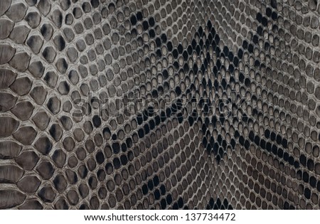 Texture background black and white snake leather