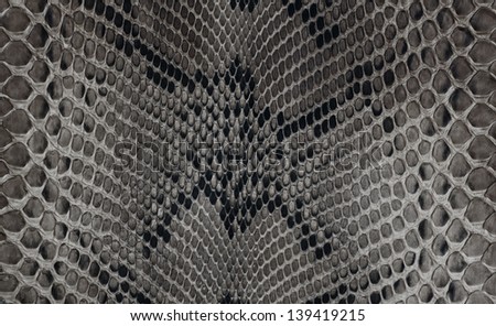 Texture background black and white snake leather