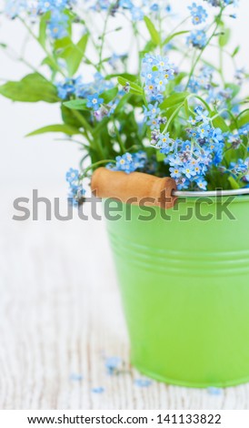 Bunch of forget-me-not flowers in green bucket
