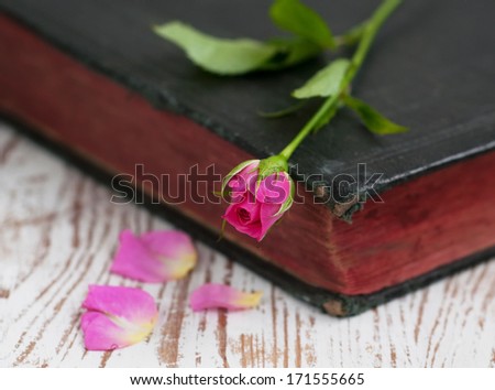 Pink Rose on an Antique Book