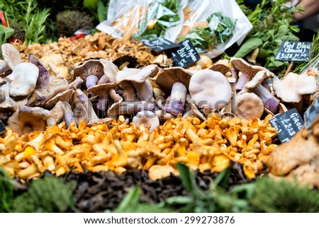 Fresh chanterelles and Cauliflower mushroom exposed in baskets on the market.