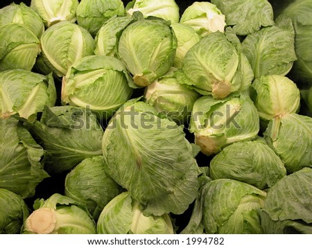 stock-photo-heads-of-lettuce-1994782.jpg