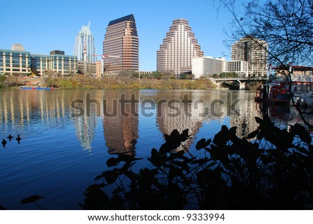 view of Austin, Texas downtown skyline reflected on the beautiful Lady Bird Lake riverboat seen between the branches
