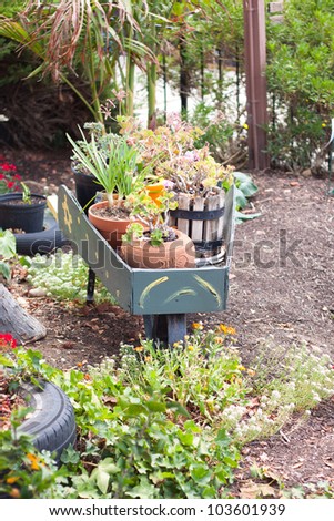 small herb and flower garden with wooden wheelbarrow