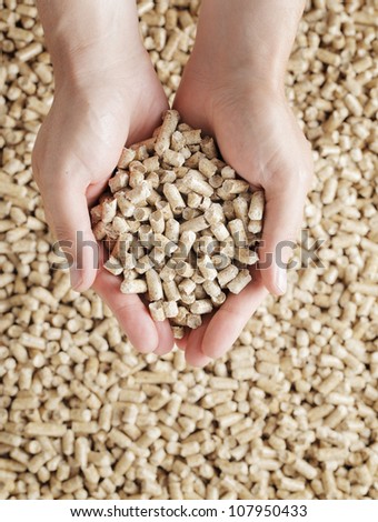 Man holding Wood Pellets (used as fuel) in his hands.