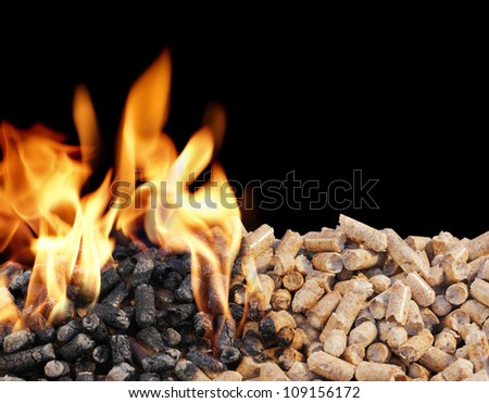 Burning Wood Pellets. Wood pellets are a type of wood fuel.