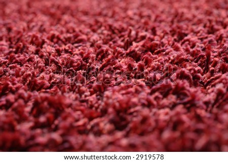 Fuzzy Carpet