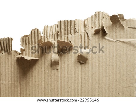 Torn brown corrugated cardboard on white background
