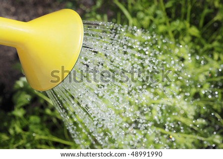 Spout of a watering can and water