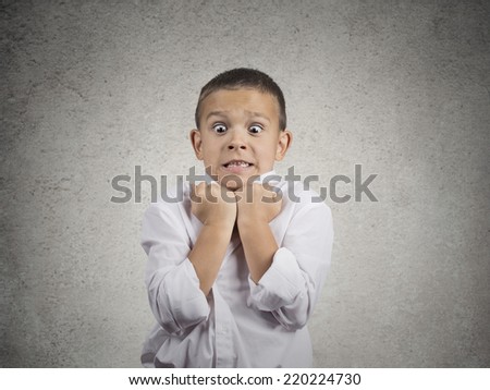 Closeup portrait angry scared child boy about to have nervous breakdown very displeased isolated grey wall background. Negative human emotions facial expression feeling attitude body language conflict