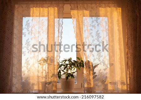 window in the wind