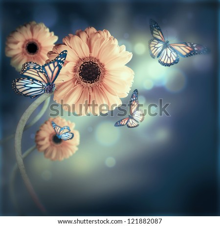 Floral background, gerbery in the rays of light and butterfly