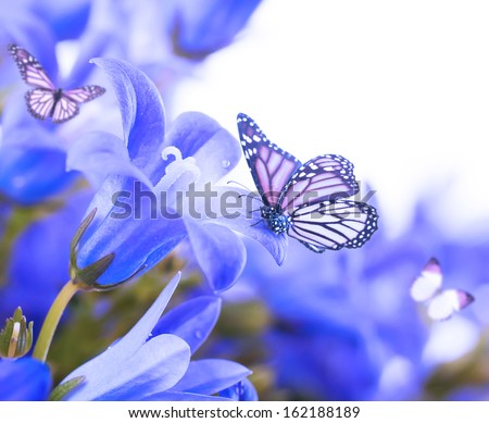 Flowers On A White Background, Dark Blue Hand Bells And Butterfly