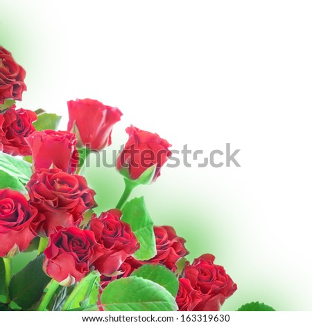 A bouquet of red roses, floral background