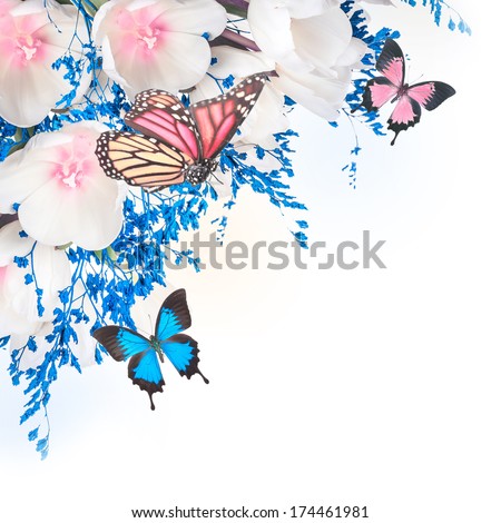 White tulips with blue grass and  butterfly. Floral background.
