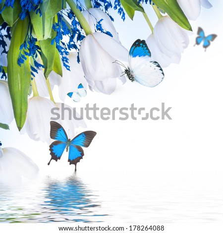 White tulips with blue grass and  butterfly. Floral background.