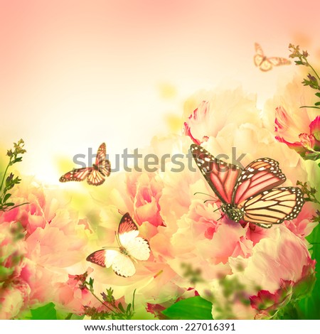 Floral background of roses and butterfly wild flowers Floral background of roses and butterfly wild flowers