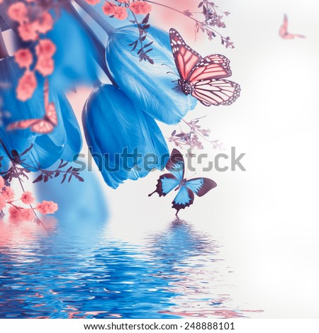 Blue tulips with mimosa and butterfly, spring background