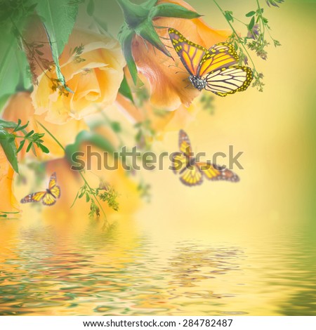 Bouquet of yellow roses, butterfly