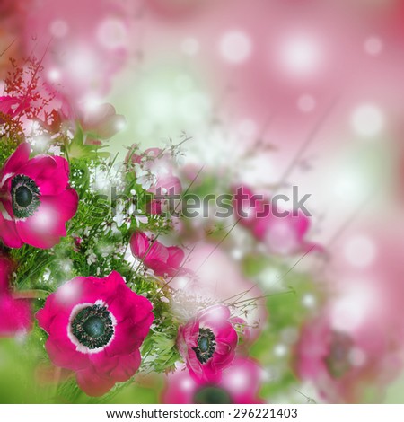 Field of poppies and green grass, summer bouquet