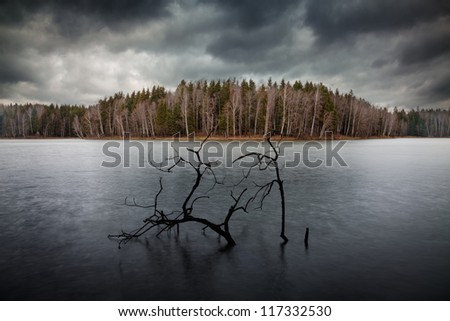 Dramatic autumn landscape: Cold calm lake, bare trees on the other shore, grey cloudy sky and dried snag in the water on foreground