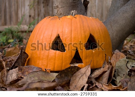 Old shriveled jack-o-lantern pumpkin sitting in a pile of fall leaves