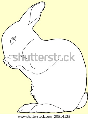 Contour Line Drawing. stock vector : Contour line