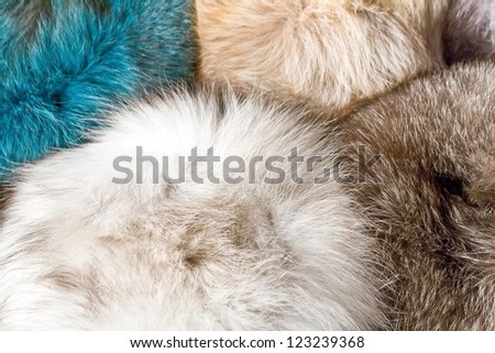 Female fur caps background