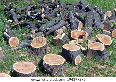 Pile of logs on green field