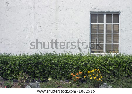 Window against white stucco wall with flowers and hedge
