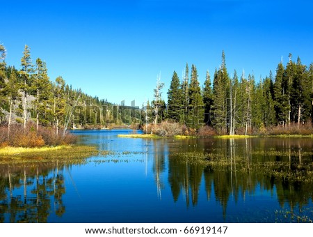 Mountain and Pine Tree Reflection in a Lake