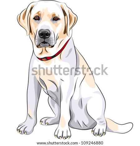 Dog Sits On Puppy Dog Sits On Puppy