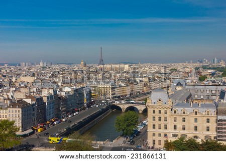 View of Paris, Petit Pont, Pont Saint-Michel and Tour Eiffel from Notre Dame cathedral