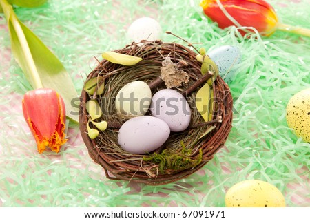 Easter blue, pink, yellow Painted Colorful sunday eggs in birds nest decorated with spring tulips on a pastel background