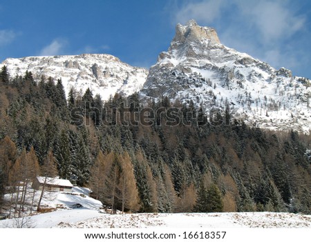 winter landscape with snowy windy rocks and green firs
