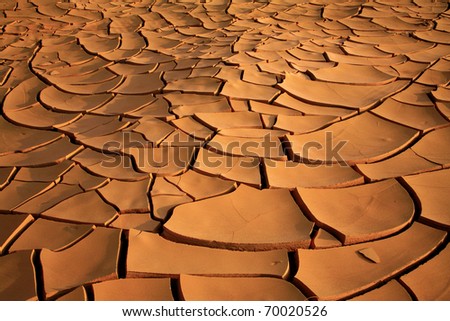 stock photo : Dried up cracked