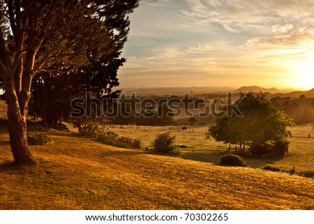 Rolling golden pasture and trees at sunrise