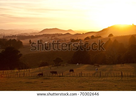Sunrise over misty hills with grazing livestock in the foreground.