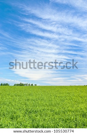 Green field under striped sky