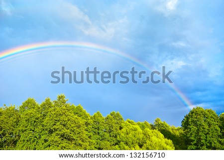 Bright rainbow over green thickets of alder trees