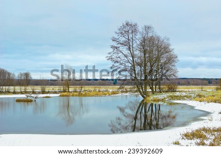 The beginning of winter. River Sukhodrev. Kaluga region, Russia