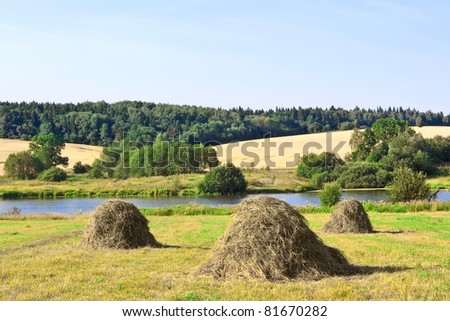 Haystacks against hills and fields of ripe wheat. Memorial estate Muranovo. Moscow Region. Russia