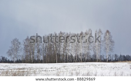Russian landscape. Sulky day at the end of winter