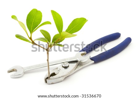 A pair of pliers holds a small plant