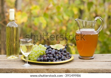 A still life composition with grape, must and wine.