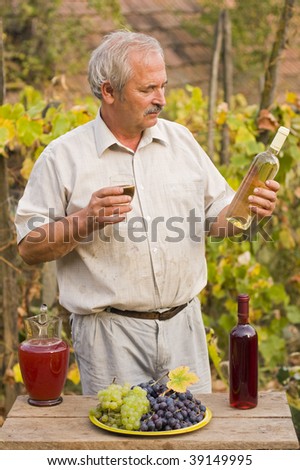 An elderly man tasting his wine, against grapevines grape, a wine and a jug of must on a wooden table.