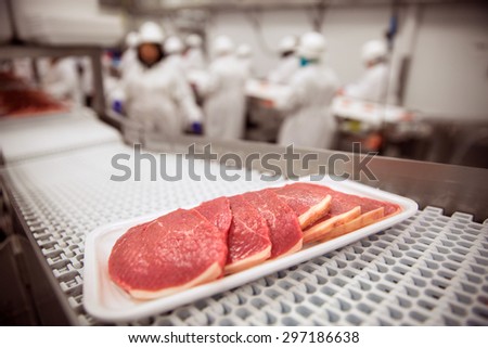 Raw meat cuts on a conveyor belt industrial machinery slices