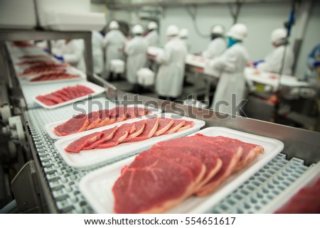 Close up of raw pork meat at packaging and processing plant in sanitary safety in handling plant