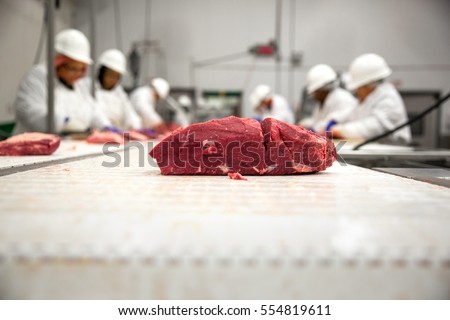 Large cut of raw meat from butcher processing packaging plant on a conveyor