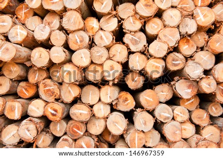 abstract of eucalyptus trees for lumber industry.